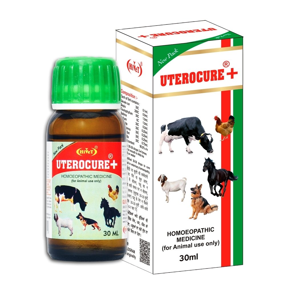 Skin Cur SKIN-CURE - Hivet – Homeopathic Medicines