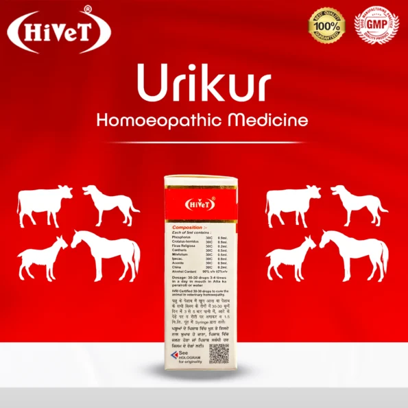 Urikur4