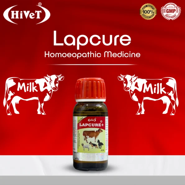 lapcure2