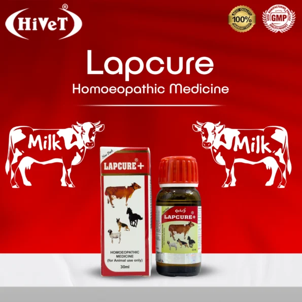 lapcure3