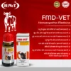 FMD VET 1