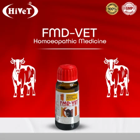 FMD VET 3