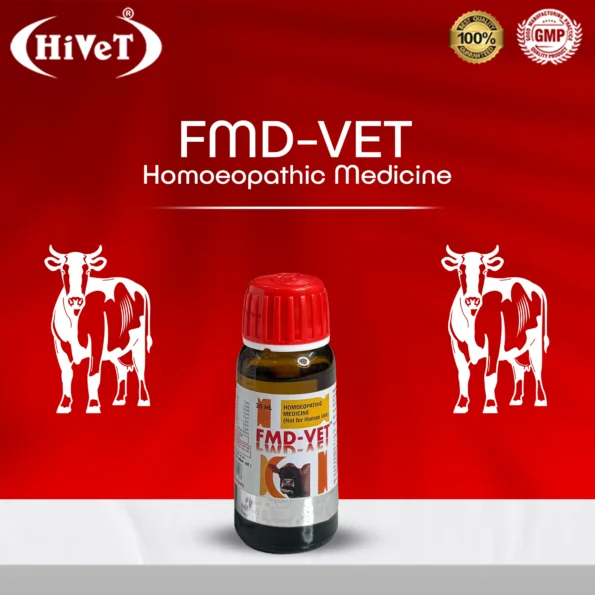 FMD VET 3