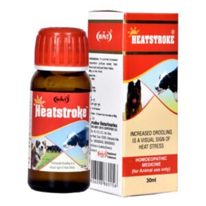 HEATSTROKE
