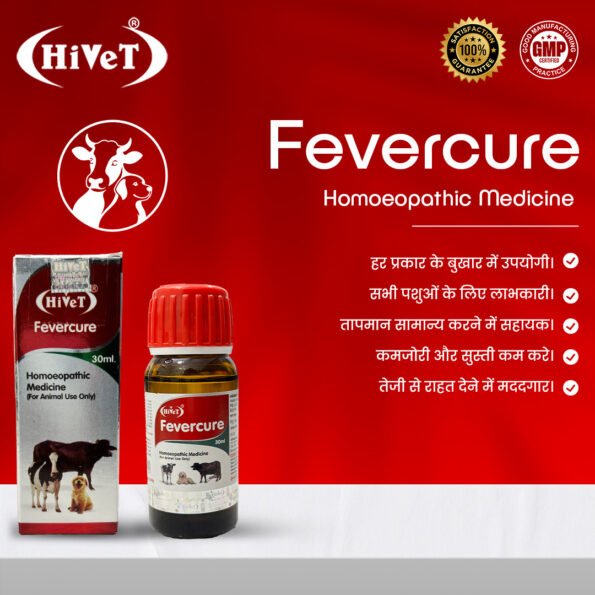 fever1