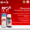 fibrocure1