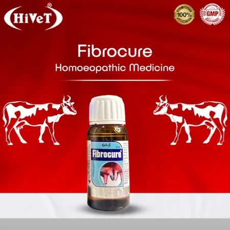 fibrocure5