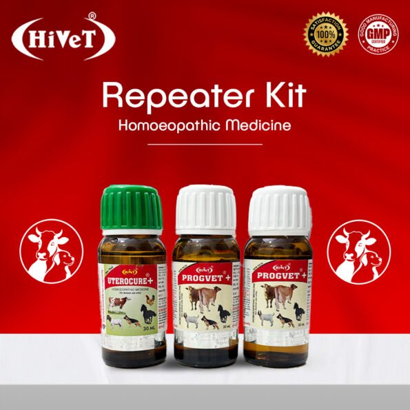 repeater2