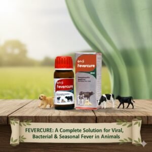 Fevercure: A Complete Solution for Viral, Bacterial