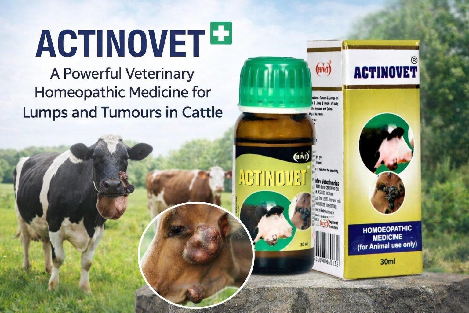 actionovet