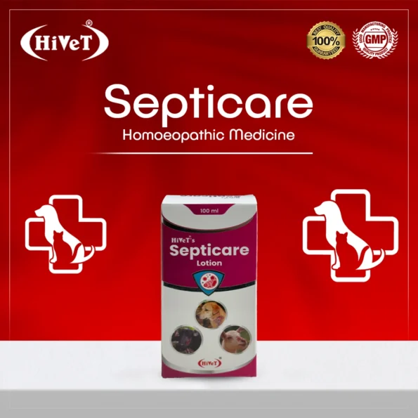 septicare2