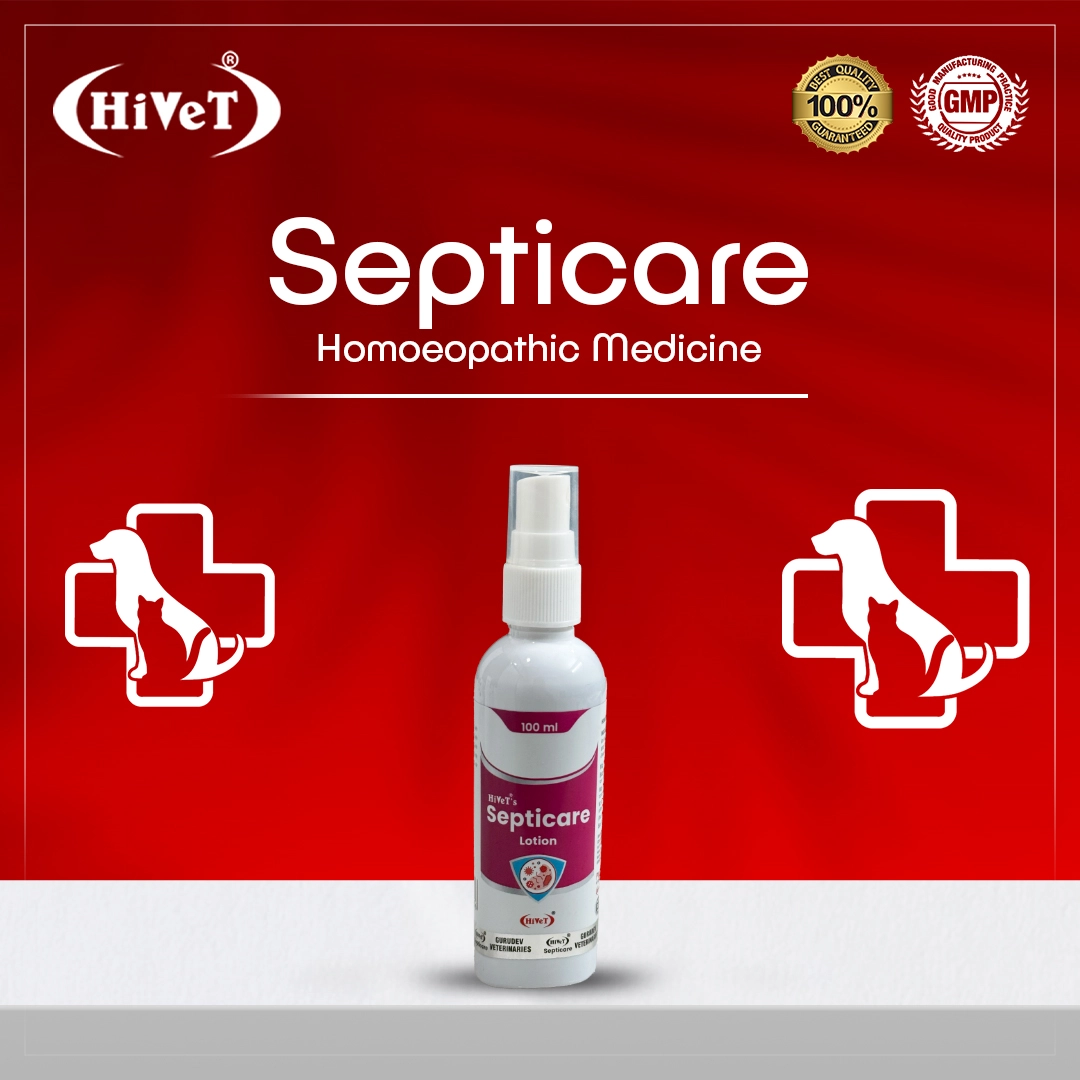 SEPTICARE LOTION - Hivet – Homeopathic M...