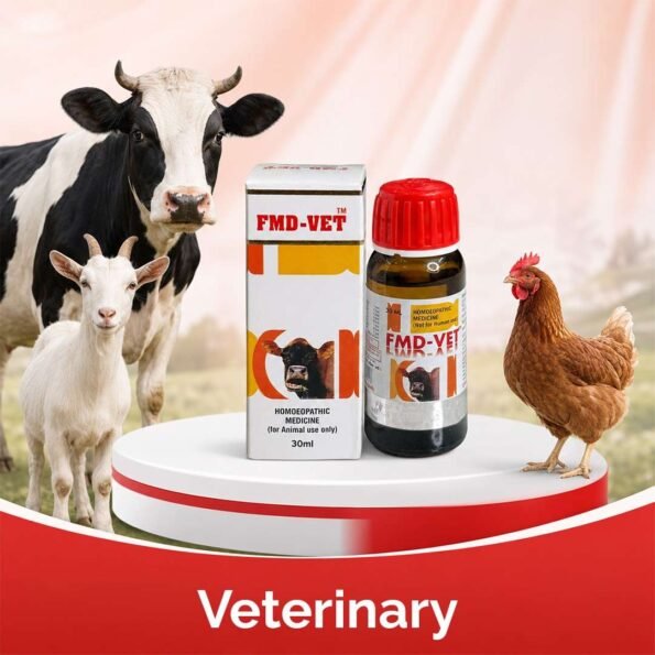 Hivet Veterinary webp jpg