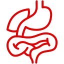 digestive