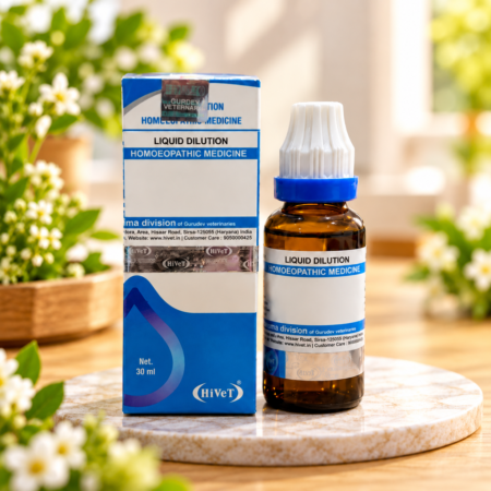 Gurdev Veterinary Medicine Still Life